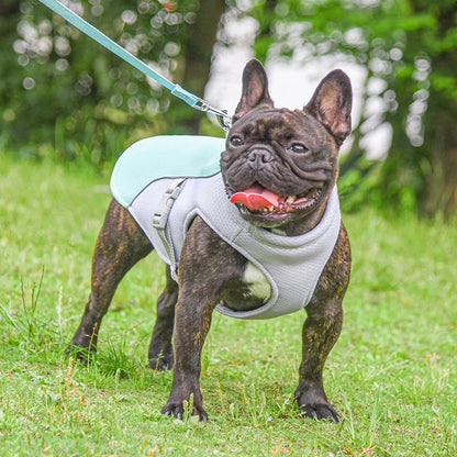 🐶❄️ 50% RABATT | Kylande isväst för hundar – Hjälper din hund att hålla sig sval i sommar ☀️