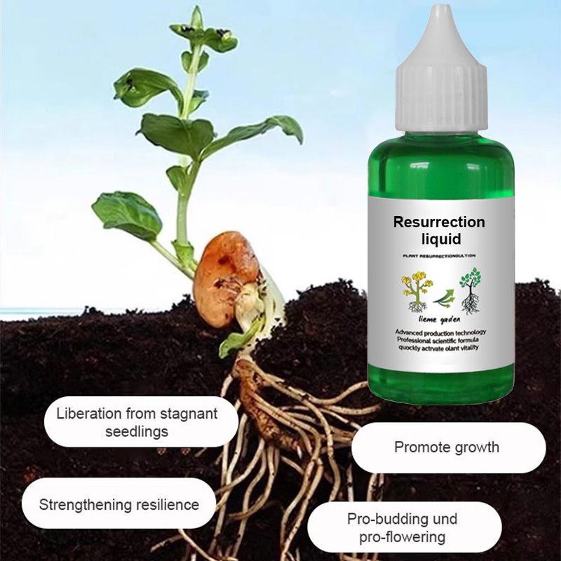 🔥Köp 2 få 1 gratis🔥Botanisk återupplivningsvätska🔥