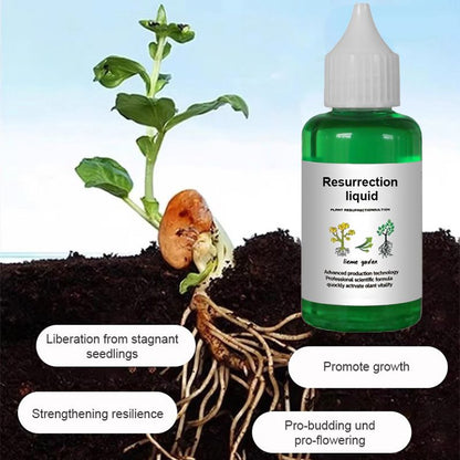 🔥Köp 2 få 1 gratis🔥Botanisk återupplivningsvätska🔥