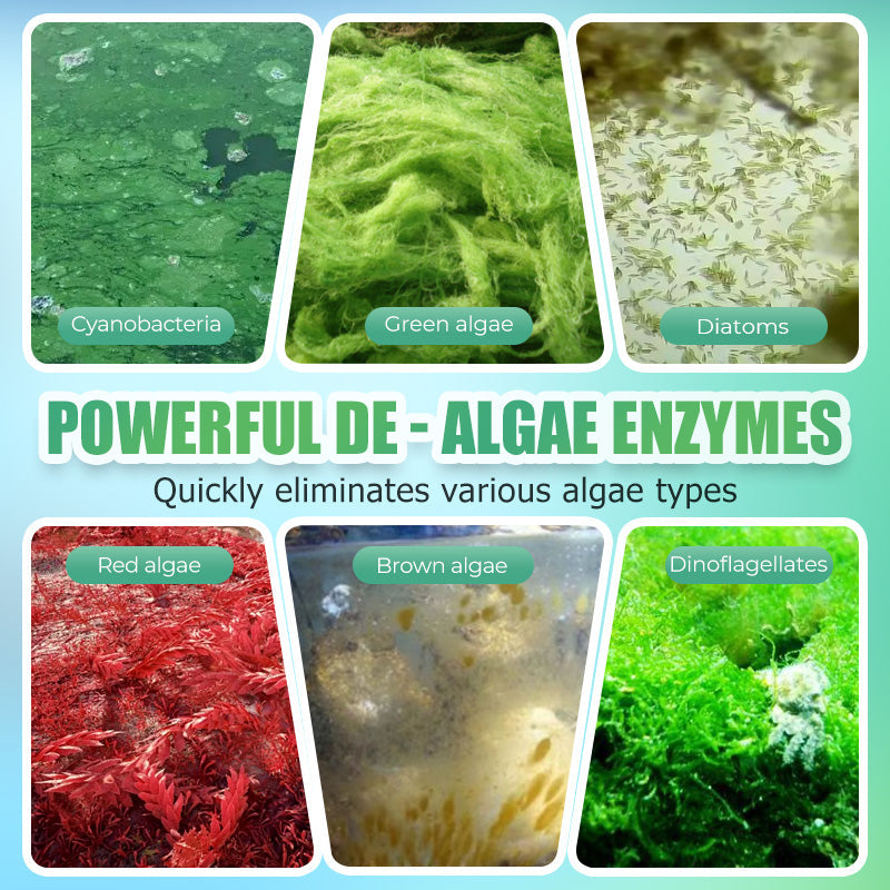 Algefjerner for akvarier