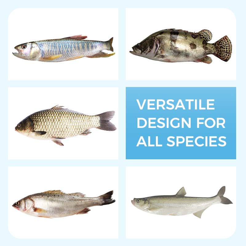 🦈Mjukt flytande maskbete för fisk🎣Tidsbegränsat erbjudande🎉Köp 1 få 1 gratis 🎁