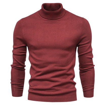 🔥Einfarbiger Strickpullover mit Rollkragen für Herren