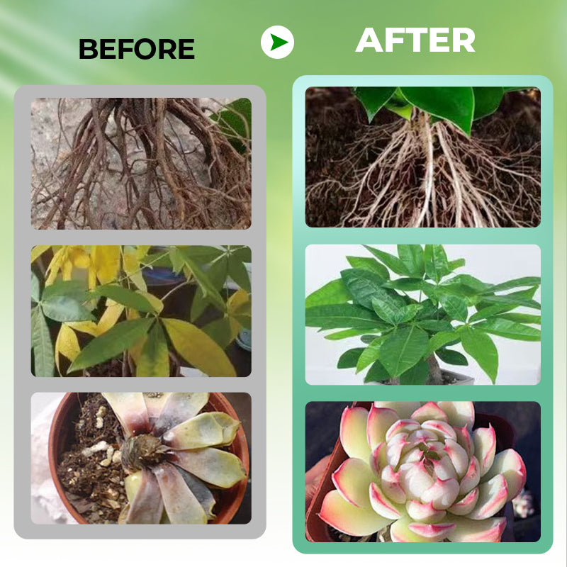 Hydroponisk lösning för växtnäring