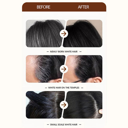 🔥Refill för hårfärg för engångsbruk med kam