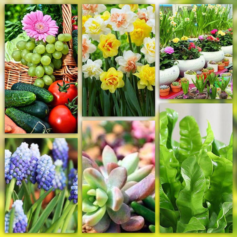 Långsamt Frigörande Växt Gödselpinnar