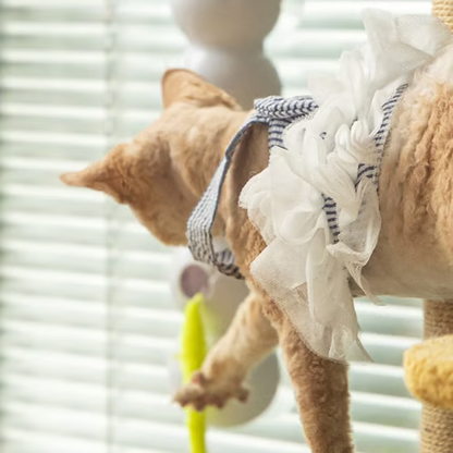 💥2025 Het försäljning🐛Interaktiv elektrisk larvleksak för katter