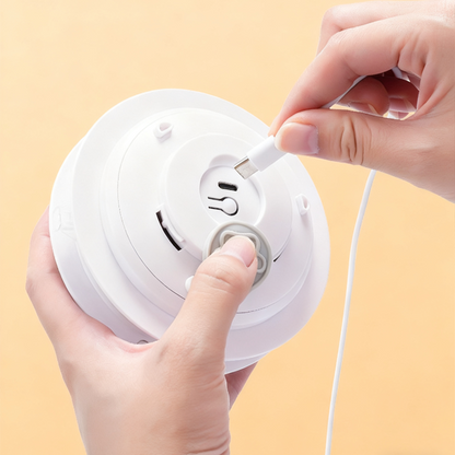 🔥2-i-1 gömma- och sök-leksak för katter