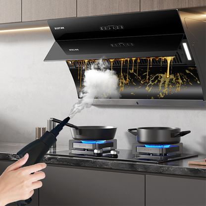 Multifunktionshandhållen städa med ånga för hemmet