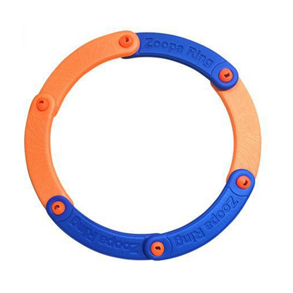 🌟Den senaste trenden inom frisbee-lek! 🎉 Gör lektiden ännu mer spännande med vår avtagbara frisbee-leksak!