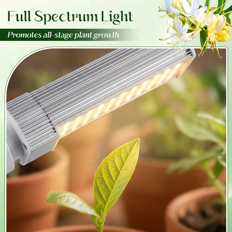 LED-anläggning växer ljus med Timer & Clamp