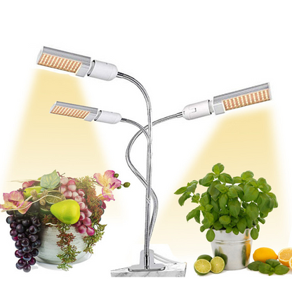 LED-anläggning växer ljus med Timer & Clamp