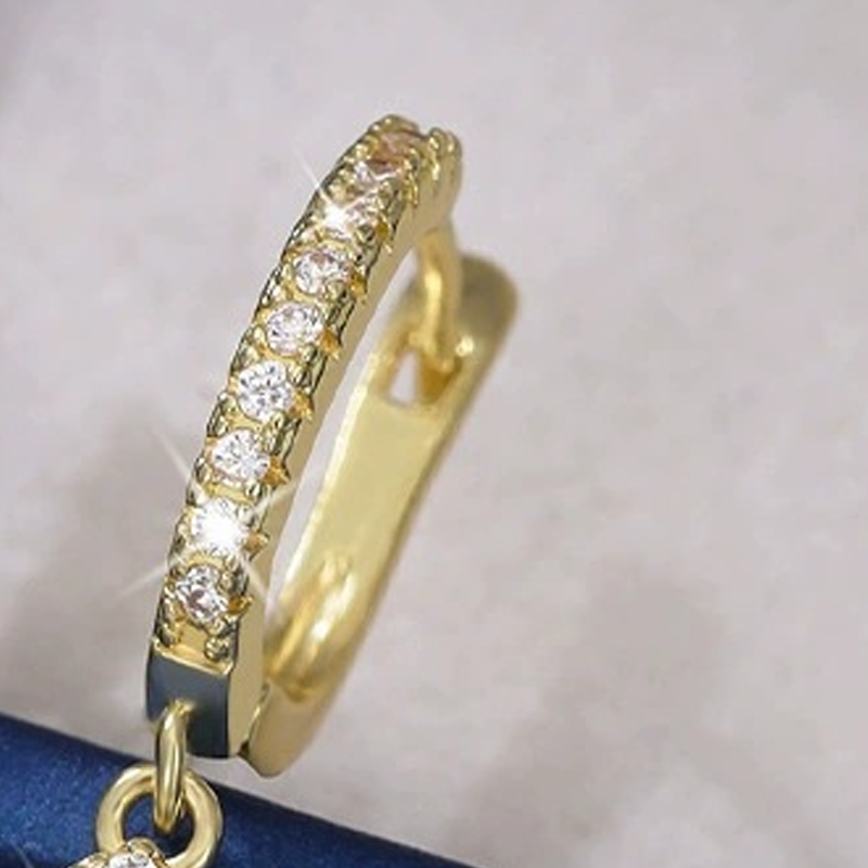 🔥50 % RABATT! 🔥Eleganta Droppformade Dangle Hoop Örhängen