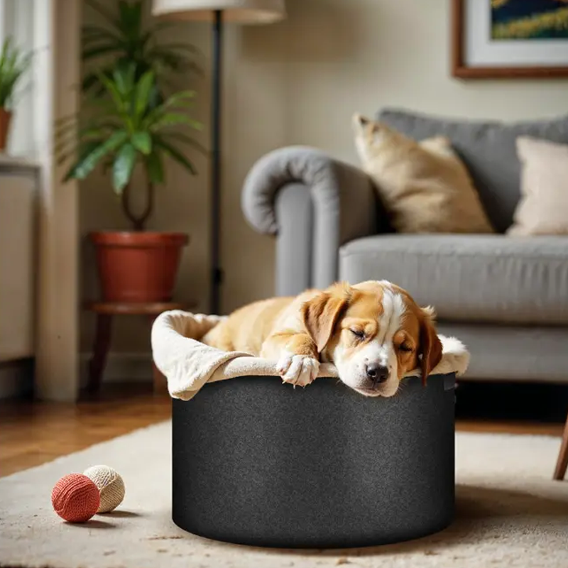 Förstärkt odlingspåse av non-woven-material med handtag