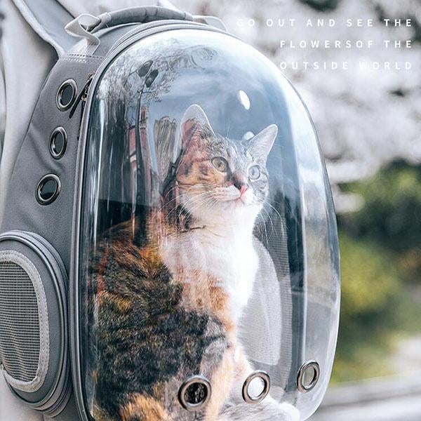 🔥HET REA 50% RABATT🔥😸Space Aat-väska för husdjur