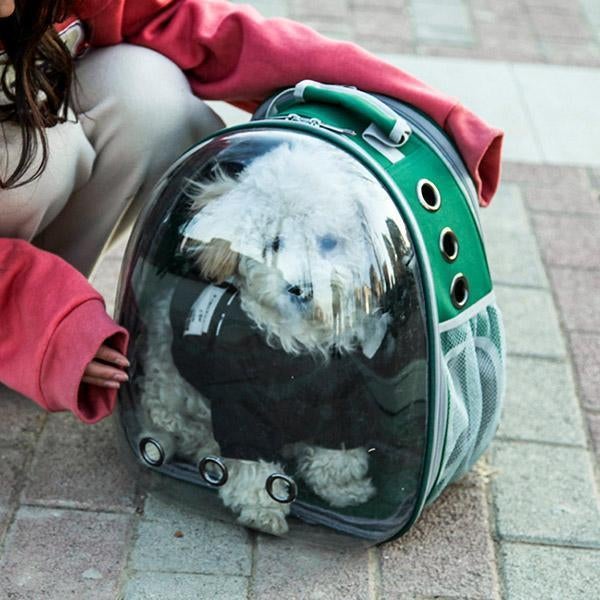🔥HET REA 50% RABATT🔥😸Space Aat-väska för husdjur