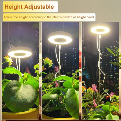 💡 50% RABATT! 🌱 LED Ängel Ring Växtlampa för Inomhusväxter – Fullt Spektrum, Energisnål & Perfekt För Optimal Tillväxt Oavsett Årstid 🌿