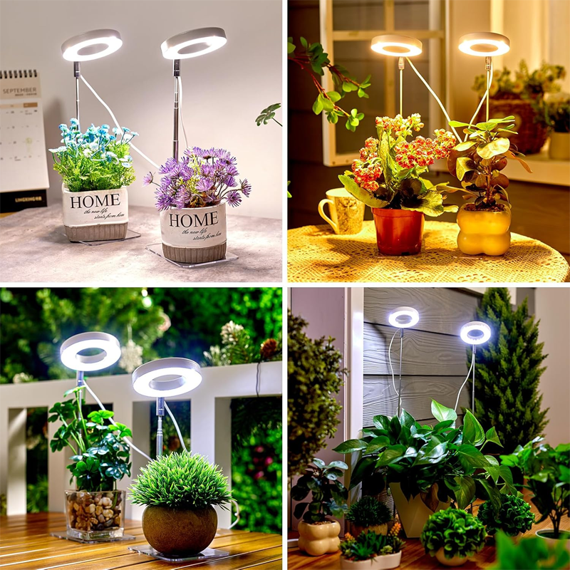 💡 50% RABATT! 🌱 LED Ängel Ring Växtlampa för Inomhusväxter – Fullt Spektrum, Energisnål & Perfekt För Optimal Tillväxt Oavsett Årstid 🌿
