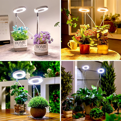 💡 50% RABATT! 🌱 LED Ängel Ring Växtlampa för Inomhusväxter – Fullt Spektrum, Energisnål & Perfekt För Optimal Tillväxt Oavsett Årstid 🌿