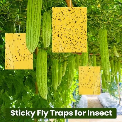 Superklibbiga dubbelsidiga insektsfällor (20-pack)