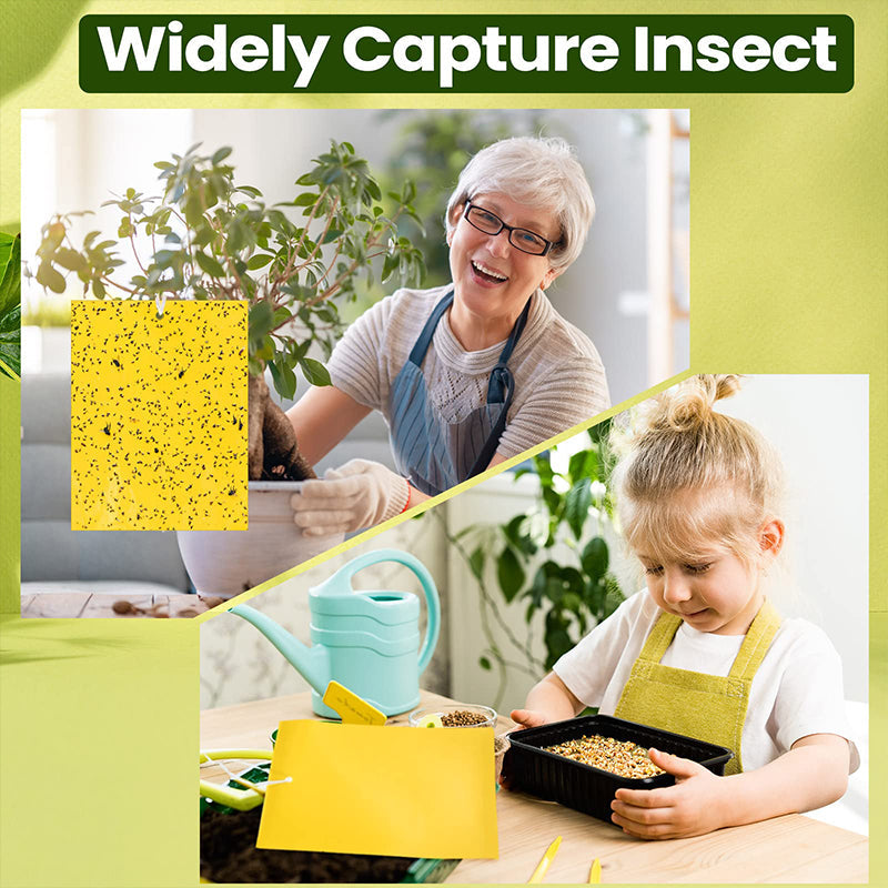 Superklibbiga dubbelsidiga insektsfällor (20-pack)