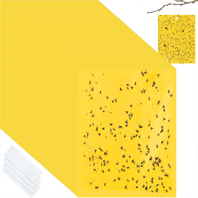Superklibbiga dubbelsidiga insektsfällor (20-pack)