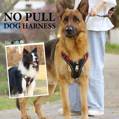 🐕 50% RABATT! 🔦 Dragfri Hundsele med Koppel & LED-halsband – Lindrar Tryck, Mjukt Nylon & Perfekt För Nattliga Promenader Och Träning 🌙