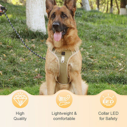 🐕 50% RABATT! 🔦 Dragfri Hundsele med Koppel & LED-halsband – Lindrar Tryck, Mjukt Nylon & Perfekt För Nattliga Promenader Och Träning 🌙