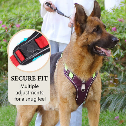 🐕 50% RABATT! 🔦 Dragfri Hundsele med Koppel & LED-halsband – Lindrar Tryck, Mjukt Nylon & Perfekt För Nattliga Promenader Och Träning 🌙