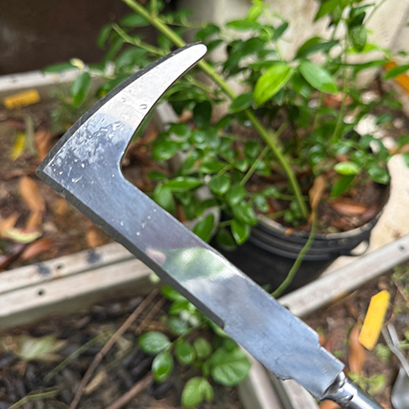 🌿 50% RABATT! 🔧 Multifunktionale Unkraut- & Wurzelziehschaufel – Zum Jäten, Lockern & Umpflanzen, Ideal Für Garten, Beet & Rasen 🧑‍🌾