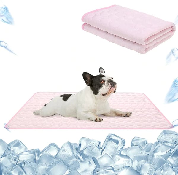 🐾 50% RABATT NU! ❄️ Premium Kylmatta för Husdjur – Självkylande, Andningsbar & Vattentät Design 🐶