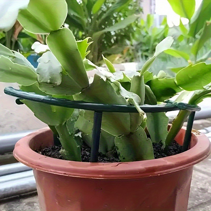 Sammankopplingsbara växtstöd – modulära ringar för hängande blommor & slokande stjälkar 🌱🔄