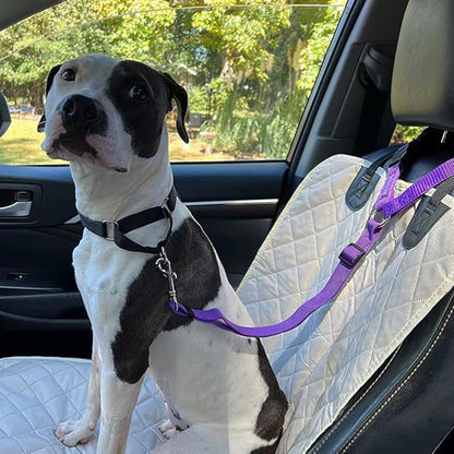 🛒 50% RABATT NU! 🐶 2-i-1 hundbilssäkerhetsbälte och promenadkoppel – Stabil & slitstark – Perfekt för bilresor och utomhuspromenader 🚗🌿