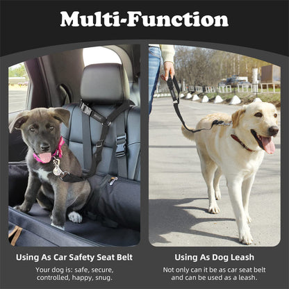 🛒 50% RABATT NU! 🐶 2-i-1 hundbilssäkerhetsbälte och promenadkoppel – Stabil & slitstark – Perfekt för bilresor och utomhuspromenader 🚗🌿