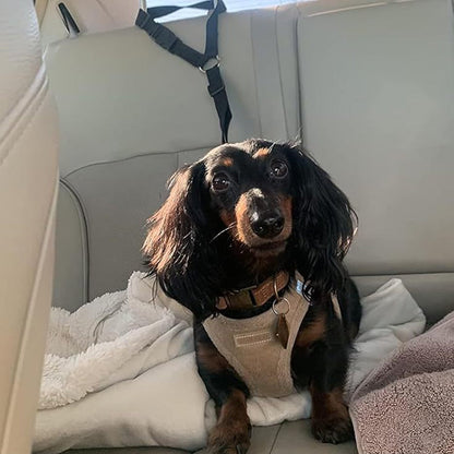 🛒 50% RABATT NU! 🐶 2-i-1 hundbilssäkerhetsbälte och promenadkoppel – Stabil & slitstark – Perfekt för bilresor och utomhuspromenader 🚗🌿