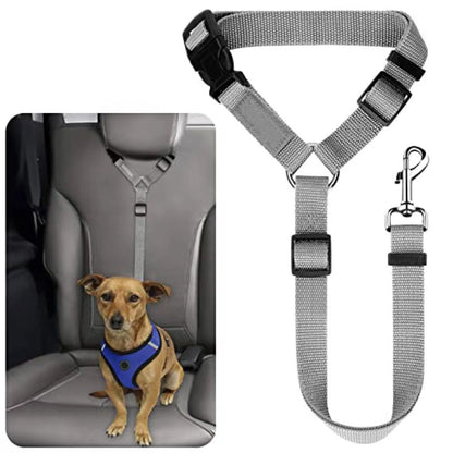 🛒 50% RABATT NU! 🐶 2-i-1 hundbilssäkerhetsbälte och promenadkoppel – Stabil & slitstark – Perfekt för bilresor och utomhuspromenader 🚗🌿