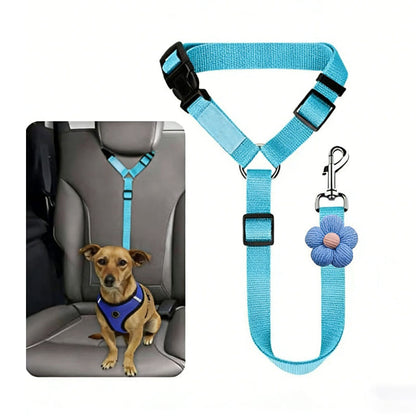 🛒 50% RABATT NU! 🐶 2-i-1 hundbilssäkerhetsbälte och promenadkoppel – Stabil & slitstark – Perfekt för bilresor och utomhuspromenader 🚗🌿
