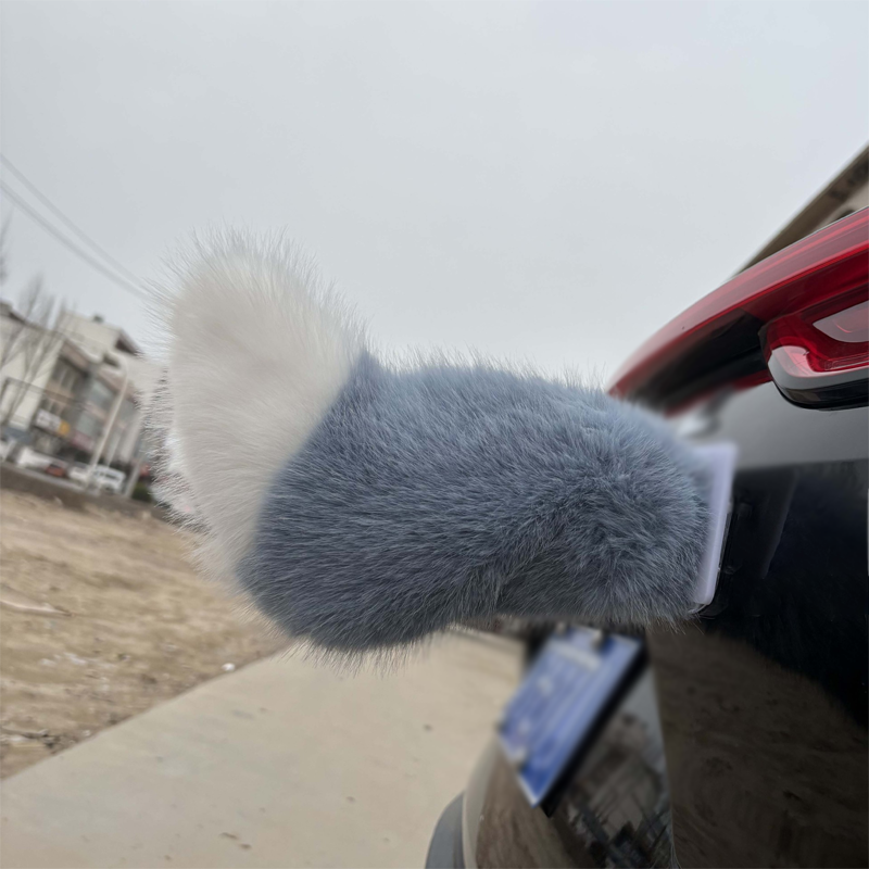 ⏳Tidsbegränsad 50% rabatt⏰Fjärrstyrd elbilssvans🚗⚜️