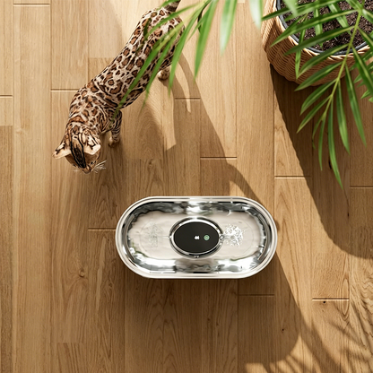 Wireless Smart Pet Water Fountain
