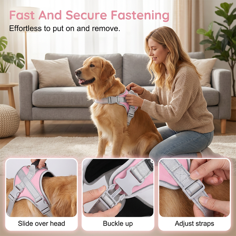 No-pull hundsele 🐕 Bekväm, säker & stoppar dragandet – njut av lugna promenader ✨
