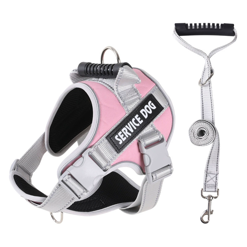 No-pull hundsele 🐕 Bekväm, säker & stoppar dragandet – njut av lugna promenader ✨