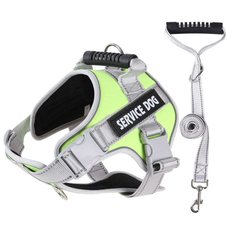 No-pull hundsele 🐕 Bekväm, säker & stoppar dragandet – njut av lugna promenader ✨