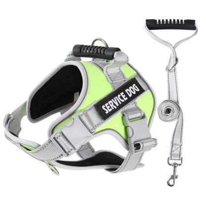 No-pull hundsele 🐕 Bekväm, säker & stoppar dragandet – njut av lugna promenader ✨