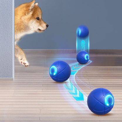 ✨ Elektrisk aktiveringsboll för hund & katt – interaktiv, tålig och perfekt för lek hemma 🐾