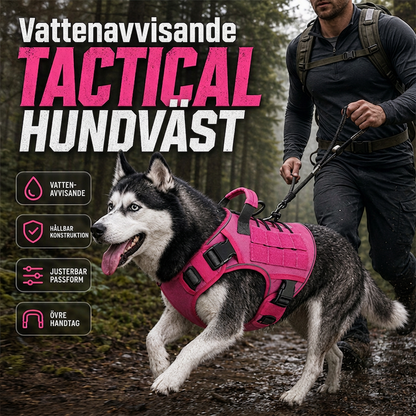 Hundsele i slitstarkt Oxfordtyg