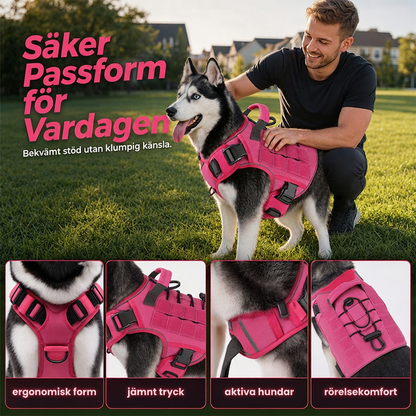 Hundsele i slitstarkt Oxfordtyg