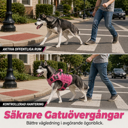 Hundsele i slitstarkt Oxfordtyg