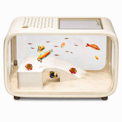 🐠 Spara 50%! 🏠 Transparent Akvarium – Med lock, dekorativt & perfekt för vardagsrummet ✨