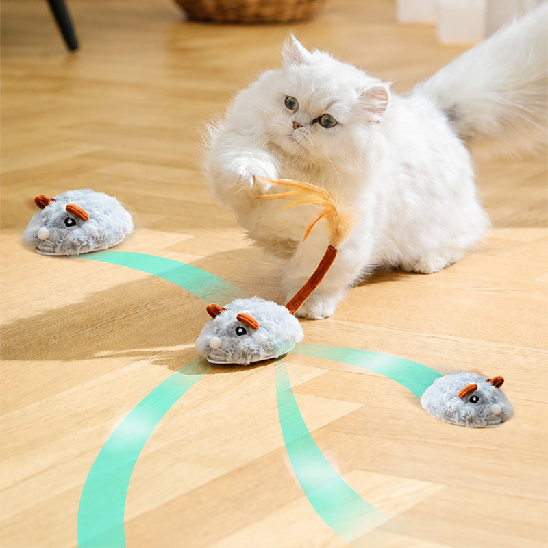 🐱 50 % RABATT! ✨ Smart elektrisk musleksak för katter – undviker hinder, realistisk plyschdesign och USB-C-laddning – tyst 360°-rörelse för oändlig lek 🐭