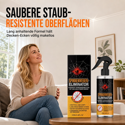 Spindelwebsborttagningsspray och vägrengöringsmedel för tak och hörn i hemmet – säker dammrengöring för väggar