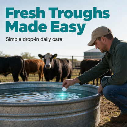 💧🐄 50 % rabatt! Slipp oroa dig för smutsiga vattenkar eller envis kalkbeläggning! Dessa rengöringstabletter avlägsnar effektivt smuts och avlagringar!